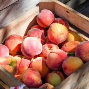 Frutas